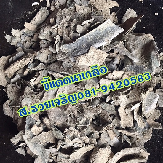 ขี้แดดนาเกลือ ราคาถูก พร้อมส่ง - เกลือราคาถูก ส รวยเจริญค้าเกลือ ขี้แดดนาเกลือ ราคาถูก พร้อมส่ง - เกลือราคาถูก ส รวยเจริญค้าเกลือ