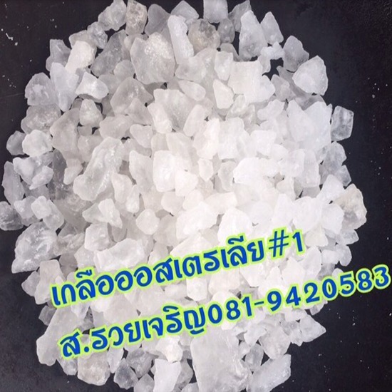 จำหน่ายเกลือออสเตรเลีย เบอร์1-5 - เกลือราคาถูก ส รวยเจริญค้าเกลือ จำหน่ายเกลือออสเตรเลีย เบอร์1-5 - เกลือราคาถูก ส รวยเจริญค้าเกลือ