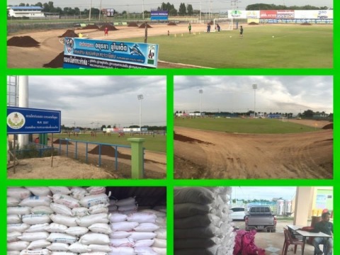 เกลือดำสำหรับทำสนามกีฬา