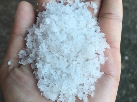 ดอกเกลือ