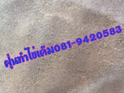 ดินฝุ่นทำไข่เค็ม